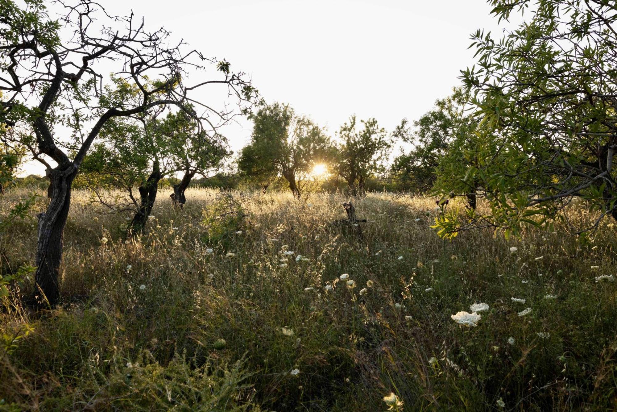 Soul Valley All-In Boutique Hotel With Yoga & Wellness Maracalagonis 외부 사진