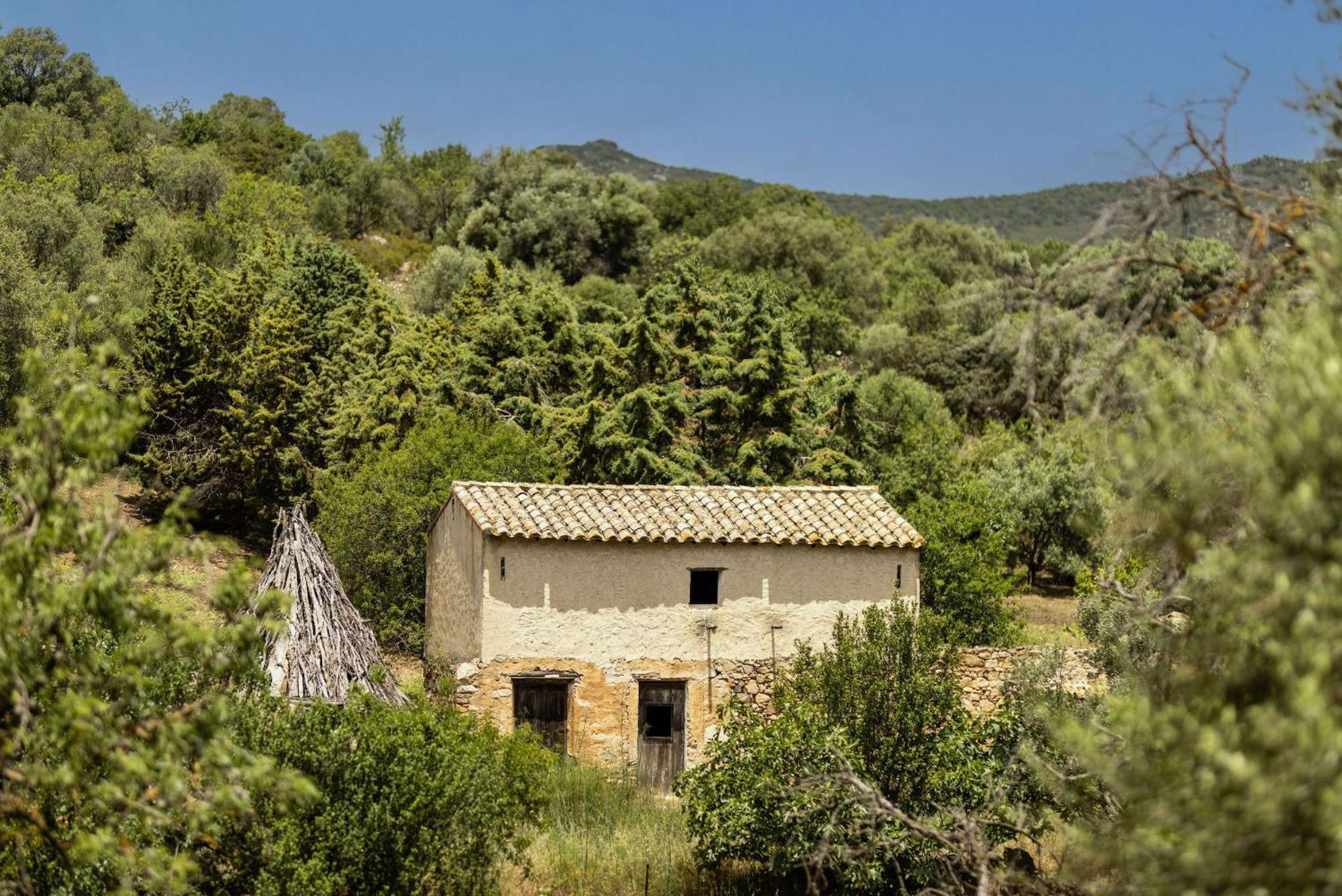Soul Valley All-In Boutique Hotel With Yoga & Wellness Maracalagonis 외부 사진